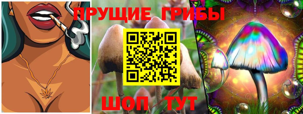 Биробиджан  Псилоцибиновые грибы ЛСД  Вход с VPN 
